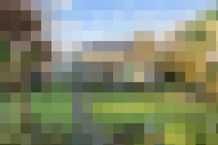 Boterdiep Oz 7 Bedum thumbnail 64