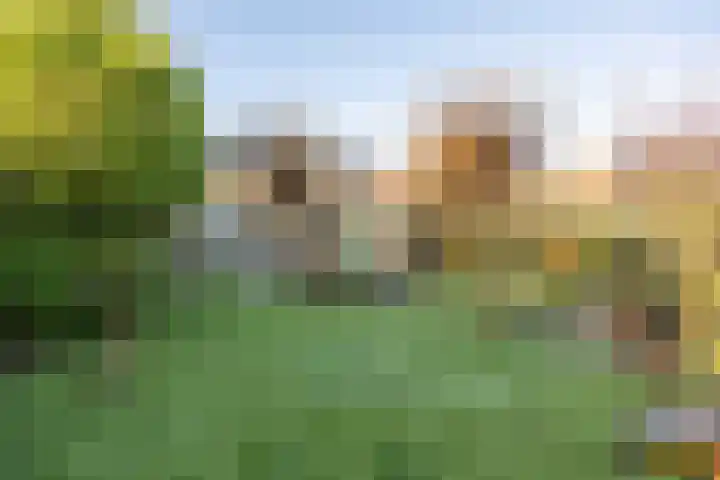 Boterdiep Oz 7 Bedum thumbnail 66