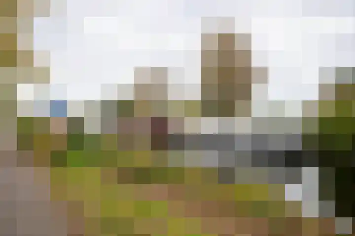 Boterdiep Oz 7 Zuidwolde thumbnail 23