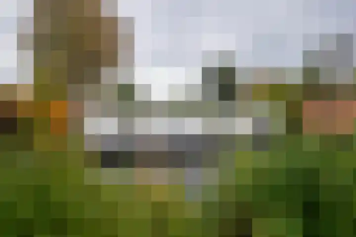 Boterdiep Oz 7 Zuidwolde thumbnail 25