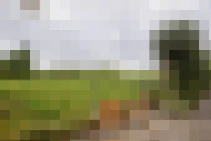 Boterdiep Oz 7 Zuidwolde thumbnail 26