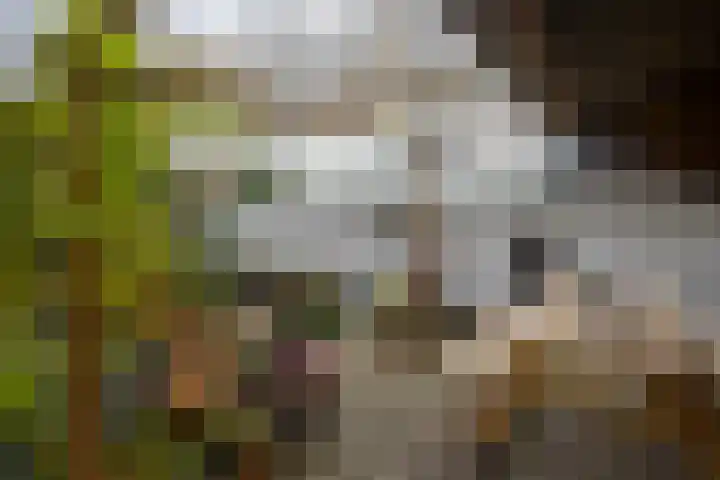 Boterdiep Oz 7 Zuidwolde thumbnail 27