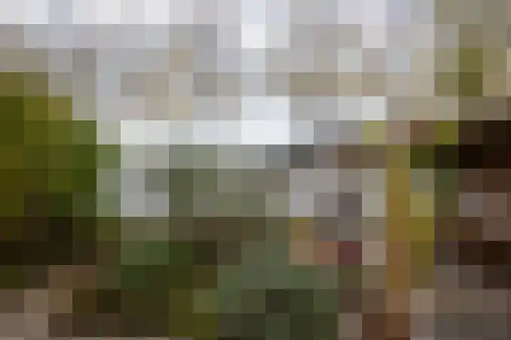 Boterdiep Oz 7 Zuidwolde thumbnail 28