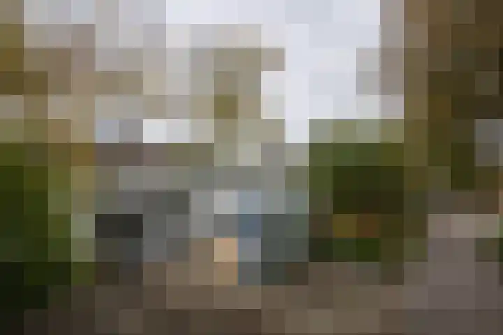Boterdiep Oz 7 Zuidwolde thumbnail 30