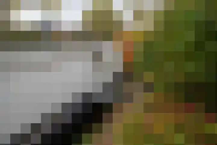 Boterdiep Oz 7 Zuidwolde thumbnail 31