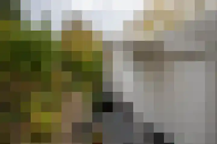 Boterdiep Oz 7 Zuidwolde thumbnail 33