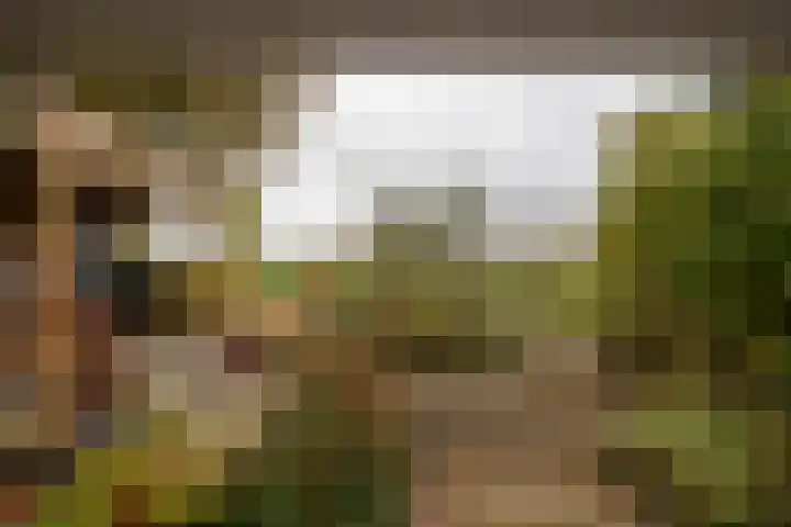 Boterdiep Oz 7 Zuidwolde thumbnail 34