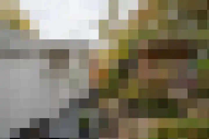 Boterdiep Oz 7 Zuidwolde thumbnail 35