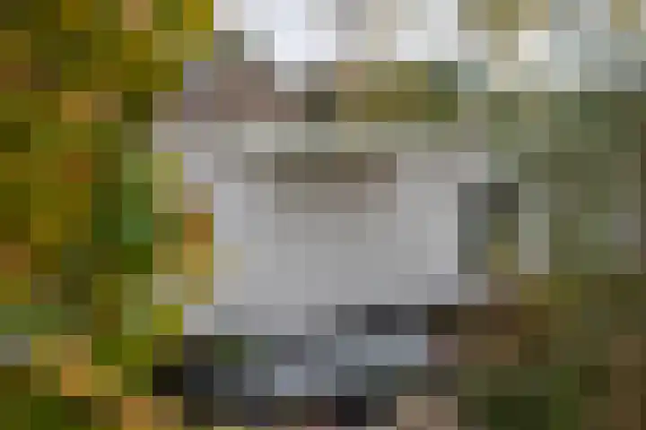 Boterdiep Oz 7 Zuidwolde thumbnail 36