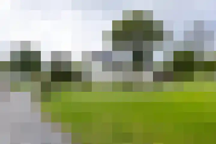 Boterdiep Wz 41 Bedum thumbnail 10