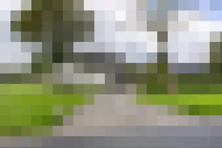 Boterdiep Wz 41 Bedum thumbnail 11