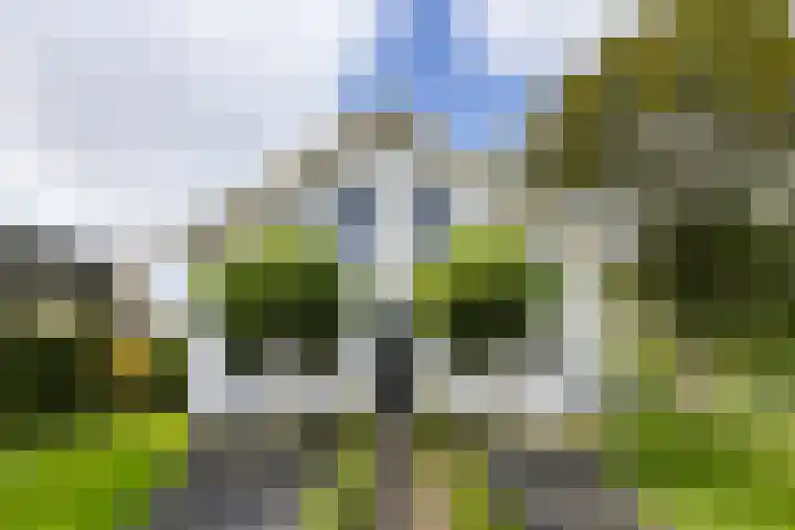 Boterdiep Wz 41 Bedum thumbnail 13
