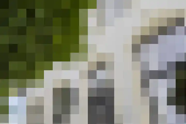 Boterdiep Wz 41 Bedum thumbnail 14