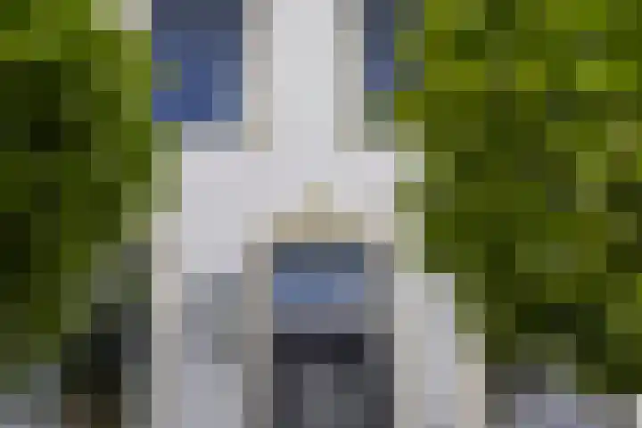 Boterdiep Wz 41 Bedum thumbnail 15