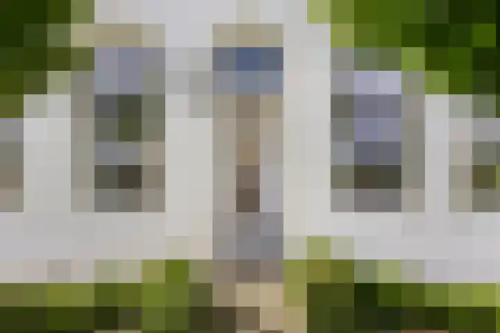 Boterdiep Wz 41 Bedum thumbnail 16