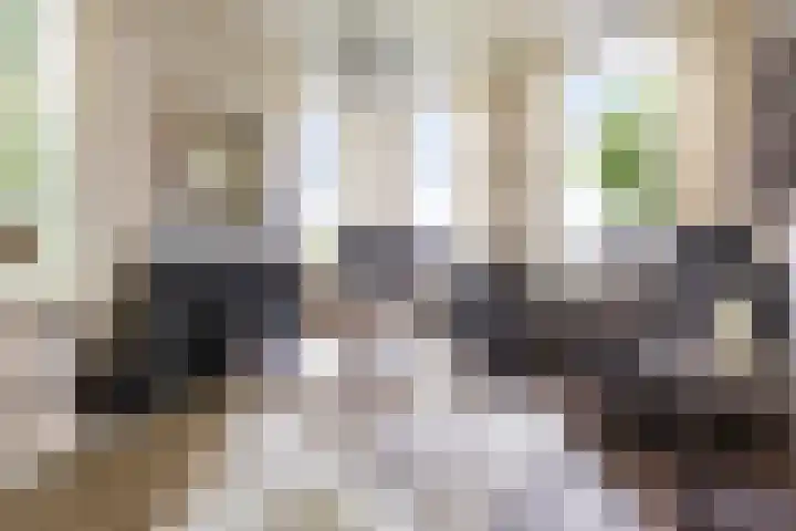 Boterdiep Wz 41 Bedum thumbnail 20