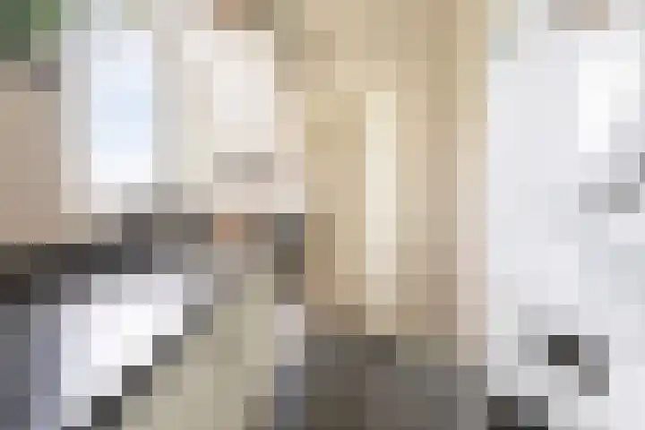 Boterdiep Wz 41 Bedum thumbnail 23