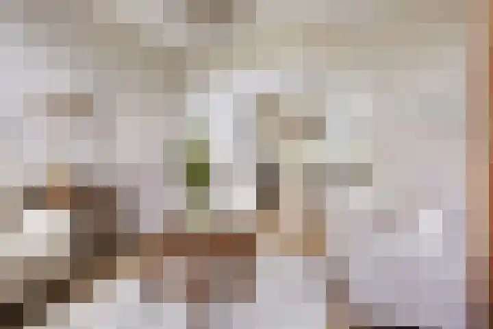 Boterdiep Wz 41 Bedum thumbnail 25