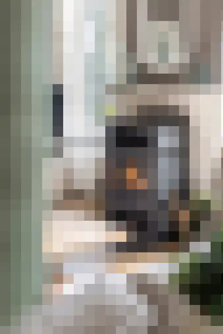 Boterdiep Wz 41 Bedum thumbnail 28