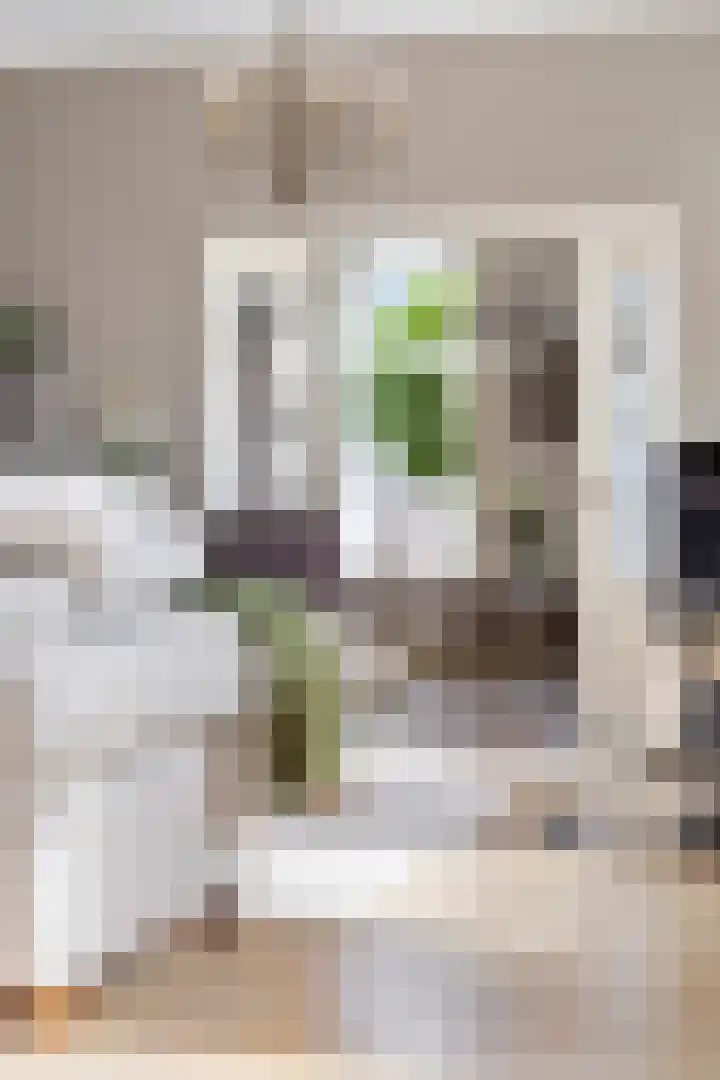 Boterdiep Wz 41 Bedum thumbnail 29