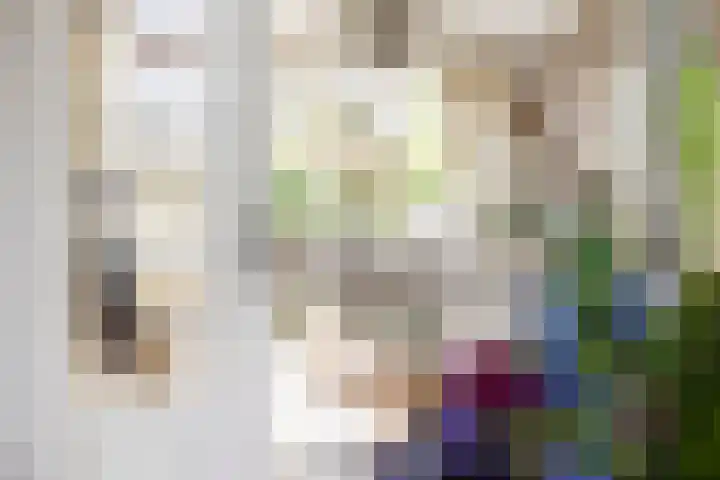 Boterdiep Wz 41 Bedum thumbnail 32