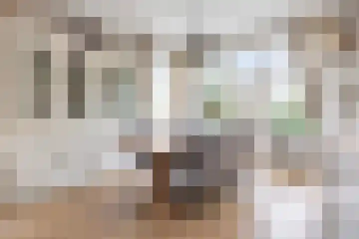 Boterdiep Wz 41 Bedum thumbnail 4