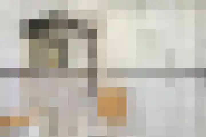 Boterdiep Wz 41 Bedum thumbnail 49