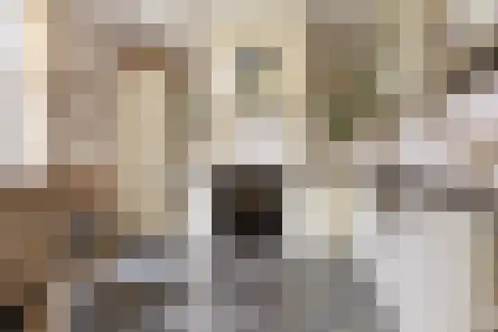 Boterdiep Wz 41 Bedum thumbnail 5