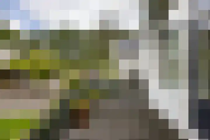 Boterdiep Wz 41 Bedum thumbnail 51