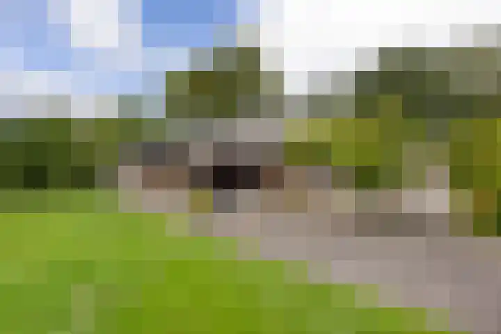 Boterdiep Wz 41 Bedum thumbnail 52