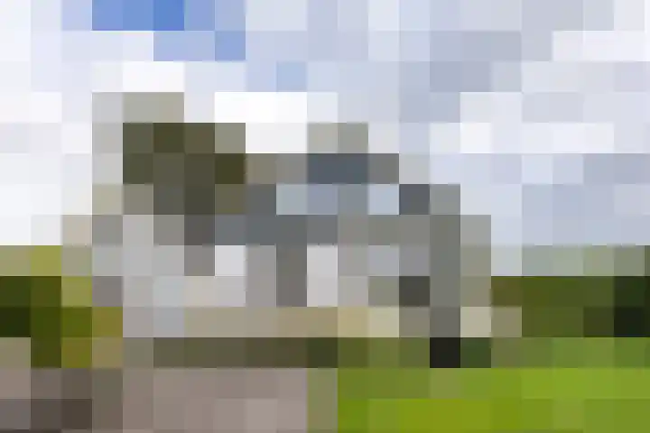 Boterdiep Wz 41 Bedum thumbnail 55