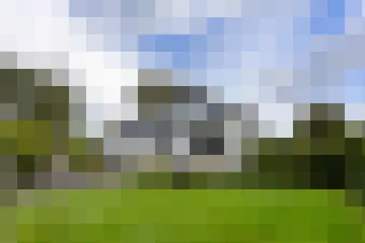 Boterdiep Wz 41 Bedum thumbnail 56