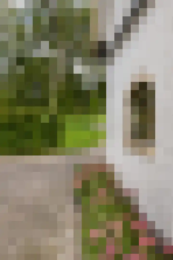 Boterdiep Wz 41 Bedum thumbnail 58