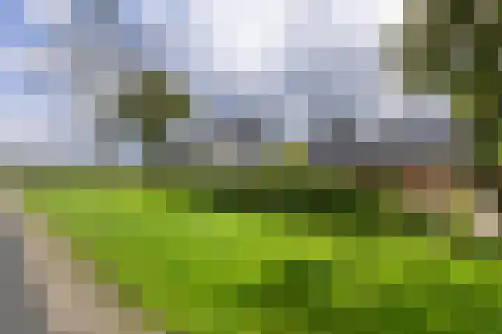 Boterdiep Wz 41 Bedum thumbnail 60