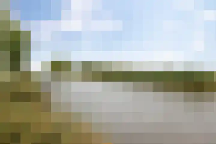 Boterdiep Wz 41 Bedum thumbnail 61
