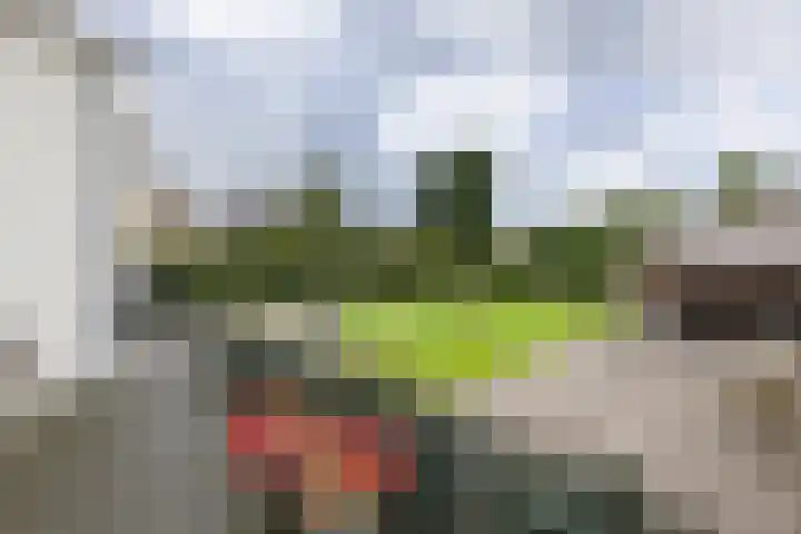 Boterdiep Wz 41 Bedum thumbnail 7