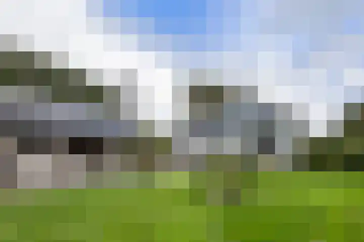Boterdiep Wz 41 Bedum thumbnail 8