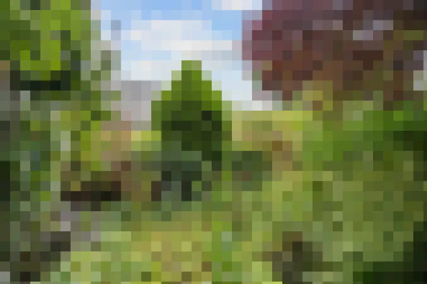 Boterdiep Wz 62 Zuidwolde thumbnail 60