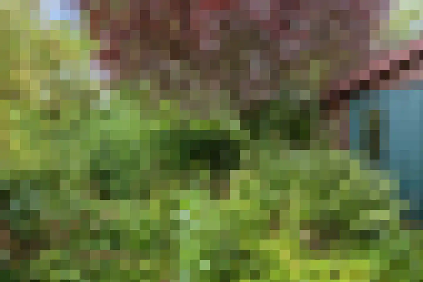 Boterdiep Wz 62 Zuidwolde thumbnail 61