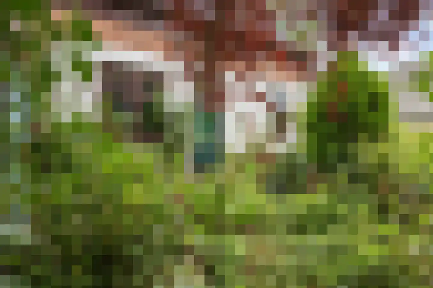 Boterdiep Wz 62 Zuidwolde thumbnail 62