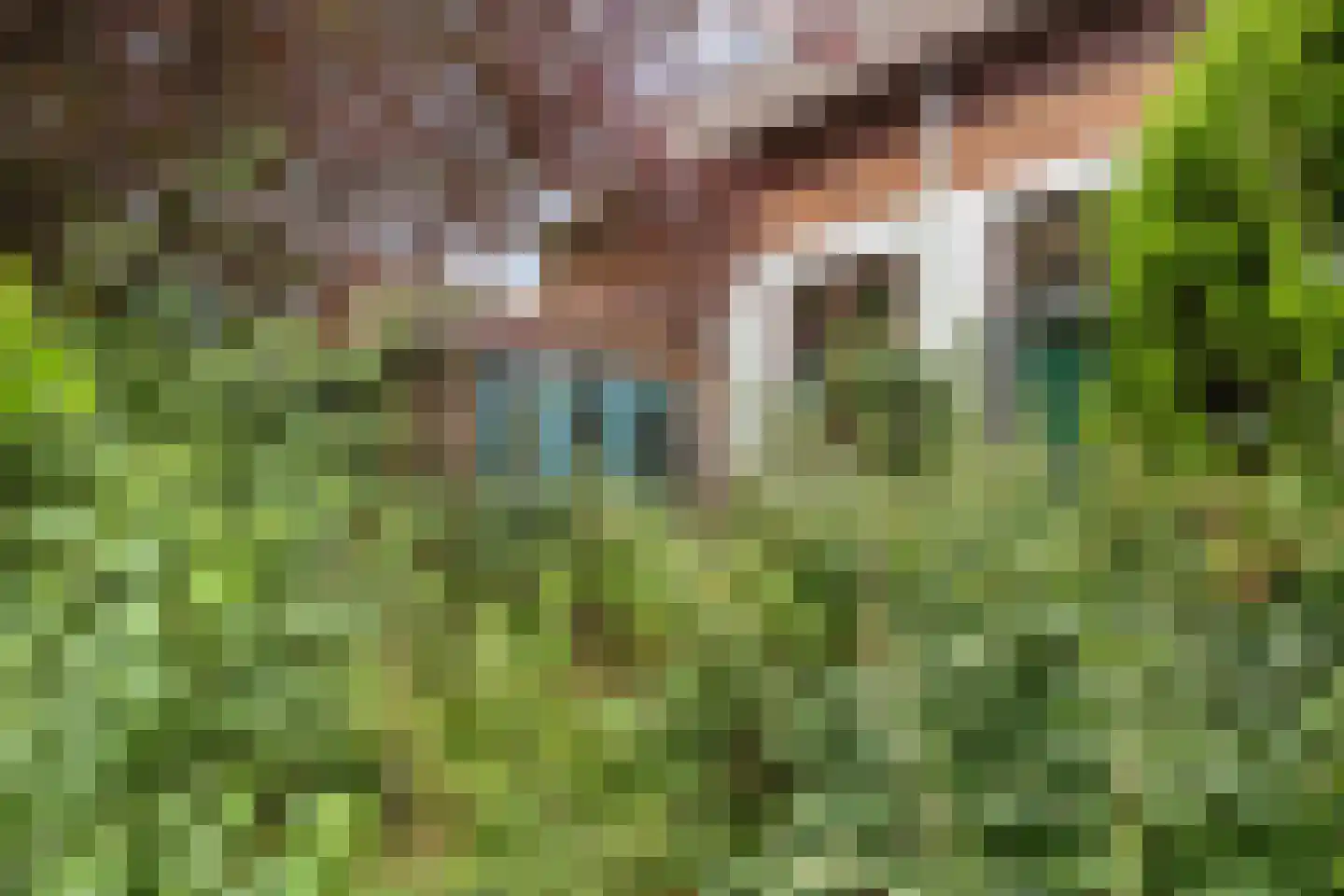 Boterdiep Wz 62 Zuidwolde thumbnail 63