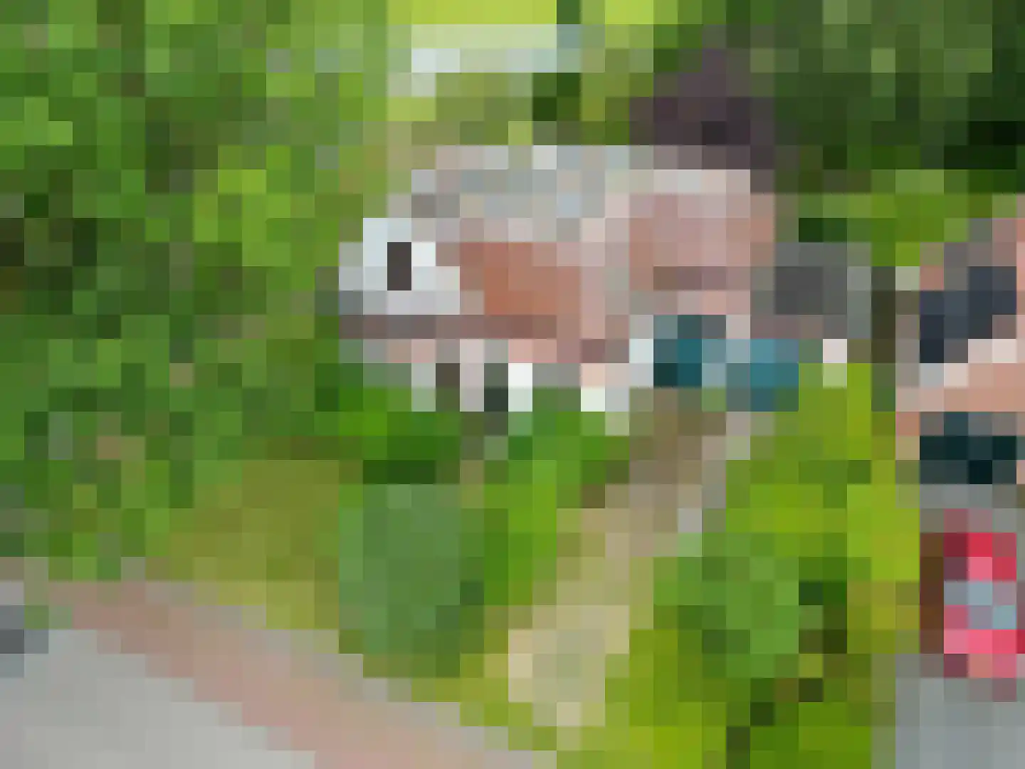 Boterdiep Wz 62 Zuidwolde thumbnail 68