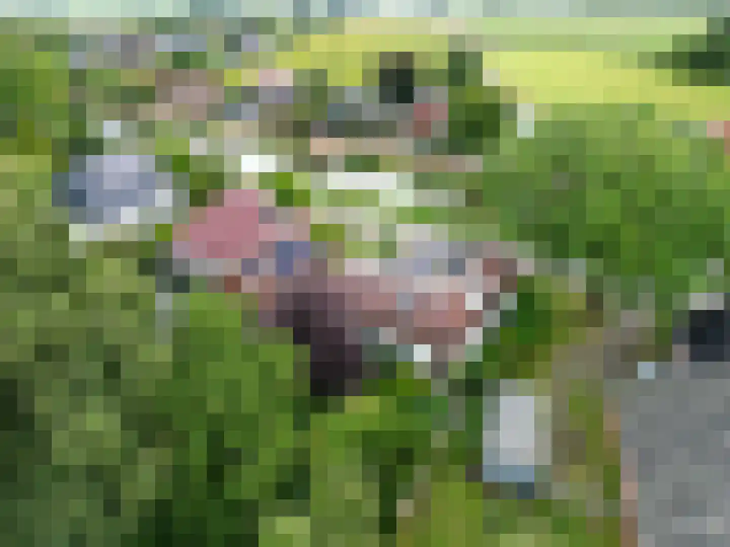 Boterdiep Wz 62 Zuidwolde thumbnail 69