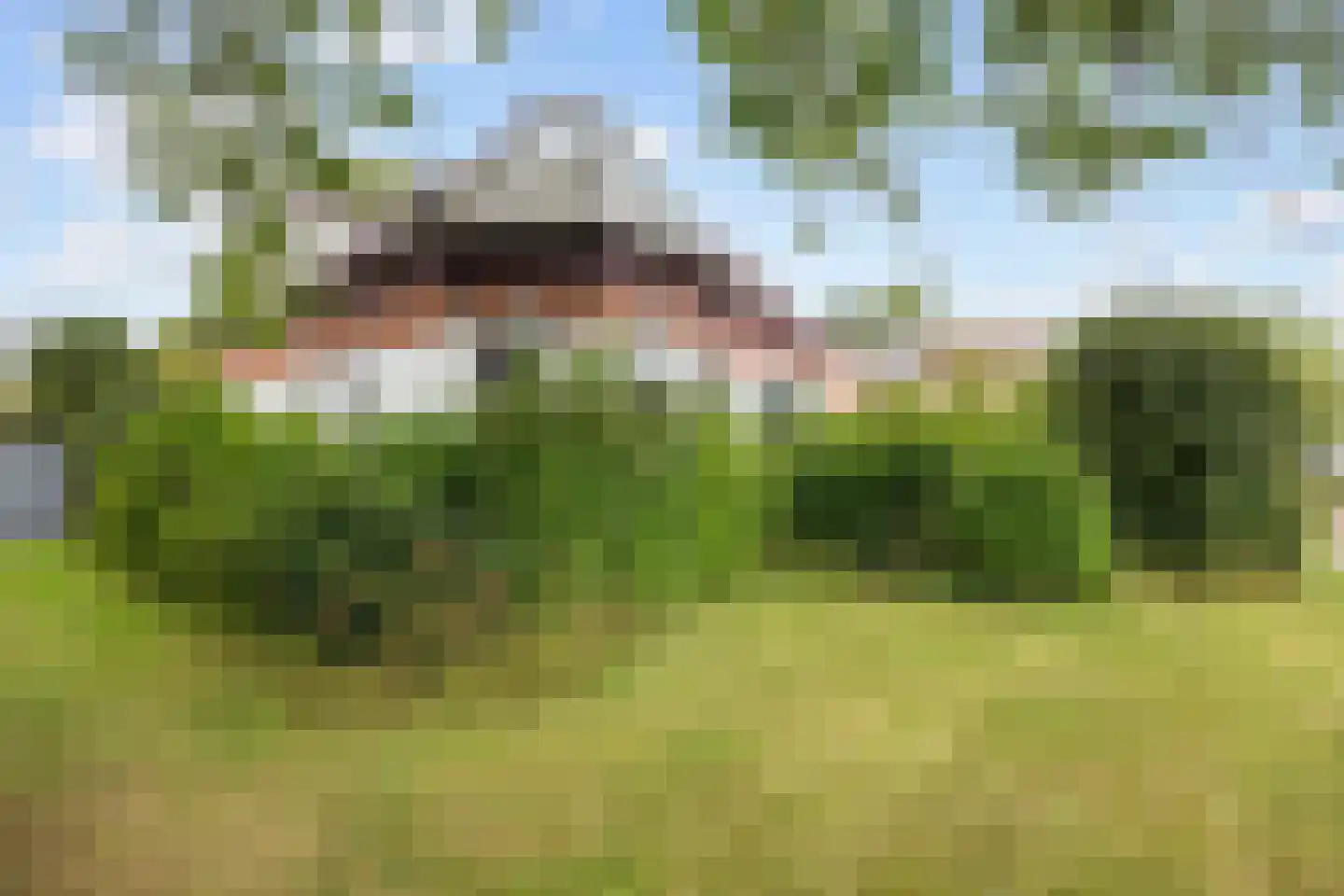 Boterdiep Wz 62 Zuidwolde thumbnail 8