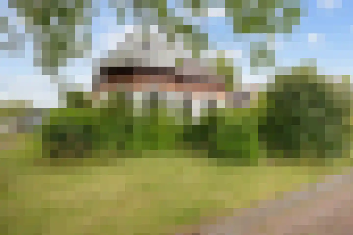 Boterdiep Wz 62 Zuidwolde thumbnail 9