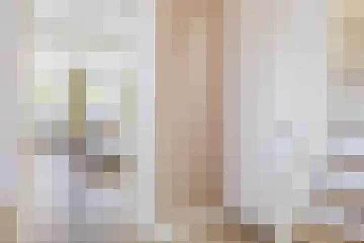 Boterdiep Zz 15 Bedum thumbnail 11