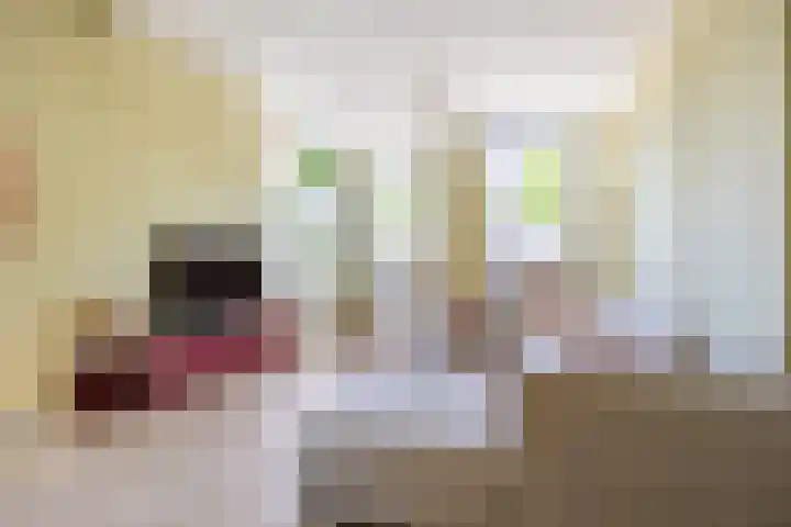 Boterdiep Zz 15 Bedum thumbnail 13