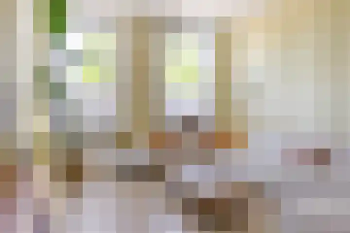Boterdiep Zz 15 Bedum thumbnail 15