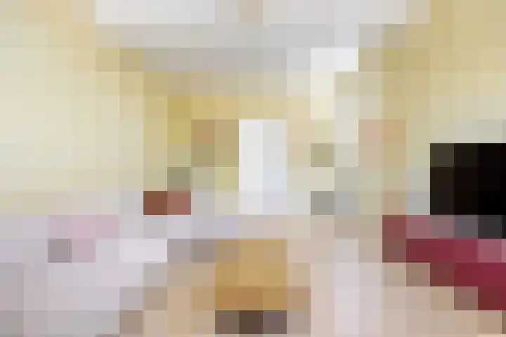 Boterdiep Zz 15 Bedum thumbnail 17