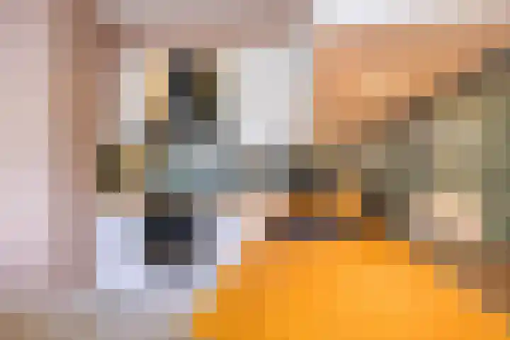 Boterdiep Zz 15 Bedum thumbnail 21